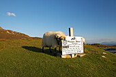 Außenaufnahme, Slieve League, Donegal Bay, County Donegal, Irland, Europa