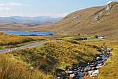 Außenaufnahme, Landschaft bei Doocharry, County Donegal, Irland, Europa