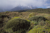 Torres del Paine National Park. Chile