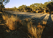 West MacDonald National Park. Northern Territory. Australian desert.