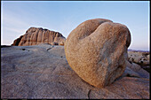 Joshua Tree National Park. California. USA.