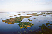 Aerial of Tampico wetlands. Tamaulipas. Mexico.