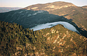 Altas Cimas Reserve. Tamaulipas. Mexico.