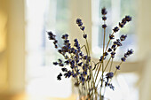 STILL LIFE Riverwoods, Illinois. Vase hold twigs of dried lavender on kitchen table, selective focus, blurred effect with lens, abstract