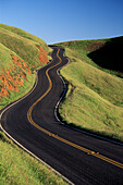  Asphalt, Außen, Berg, Berge, Farbe, Flucht, Flüchte, Gewunden, Kurve, Kurven, Landschaft, Landschaften, Landstraße, Landstraßen, Leer, Niemand, Reise, Reisen, Straße, Straßen, Tageszeit, Unbekannt, Unbekannte, Uneben, Unebenkeit, Ungerade, Verkehrsmittel