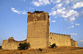 Castle founded by Infante Don Juan Manuel. Galve de Sorbe. Sierra de Ayllon. Guadalajara province. Castilla-La Mancha. Spain