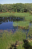 Pool at Espadán mountains park. Soneja, Castellón province, Spain