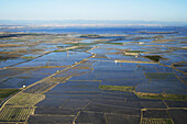 Aerial view on flooded rice fields and La Albufera in background. Valencia province, Comunidad Valenciana, Spain