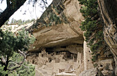 Cliff palace ruins. Mesa Verde National Park. Colorado. USA