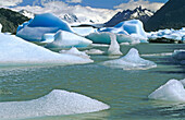 Grey Glacier. Torres del Paine National Park. Patagonia. Chile