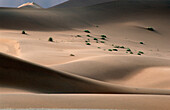 Sand dunes. Namib Naukluft National Park, Namib desert. Namibia.