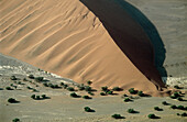 Sand Dune, Sossusvlei, Namib Desert, Namibia