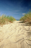Beach entrance, Baltic Sea, Isle Ruegen, Mecklenburg-Western Pommerania, Germany