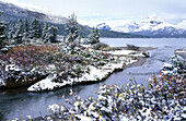 Bow Lake and Rocky Mountains, Banff Narional Park. Alberta, Canada