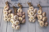Garlics. Sault, Provence, France