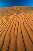 Sand dunes. Namib-Naukluft Park. Namib Desert. Namibia