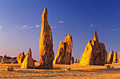 The Pinnacles. Nambung National Park. Western Australia