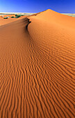 Sand dunes. Strzelecki Creek. South Australia. Australia