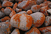 Rocks at Cape Woolamai. Phillip Island. Victoria. Australia