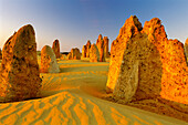 The Pinnacles. Nambung National Park. Western Australia