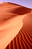 Dunes in Oriental Sahara. Algeria