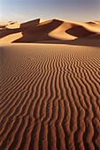 Dunes in Oriental Sahara. Algeria