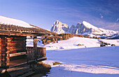 Seiser Alm (Alpe di Siusi). Langkofel mountain (Sasso Lungo). South Tirol. Dolomites. Italy.