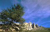 Mountain group Sella with tree. Trentino. Alto Adige. Dolomites. Italy.