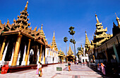 Shwe Dagon Pagoda. Yangon. Yangon division. Myanmar (Burma)