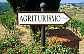  Agroturismo, Aussen, Außen, Bauernhof, Bauernhöfe, Chianti, Europa, Farbe, Feld, Felder, Horizontal, Italien, Land, Landbau, Ländlich, Landwirtschaft, Plätze der Welt, Rebe, Reben, Schild, Schilder, Tageszeit, Toscana, Toskana, K07-299566, agefotostock 