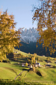 St Maddalena, Val di Funes. Trentino-Alto Adige, Dolomites, South Tyrol, Italy
