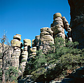 Heart of rocks area at Chiricahua National Monument. Arizona, USA