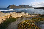 El Playazo de Rodalquilar . Cabo de Gata - Nijar Natural Park. Almeria Province. Andalucia. Spain