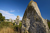 Megalithic stones. Kermario, Carnac. Bretagne. France