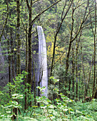 Latourell Falls. Columbia River Gorge National Scenic Area. Oregon. USA