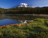 Mount Rainier from Reflection Lake, Mount Rainier National Park, Washington, USA.