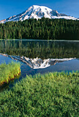 Mount Rainier from Reflection Lake, Mount Rainier National Park, Washington, USA