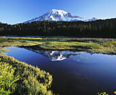 Mount Rainier from Reflection Lake, Mount Rainier National Park, Washington, USA.