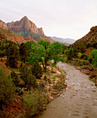 Virgin River and The Watchman. Zion National Park. Utah. USA