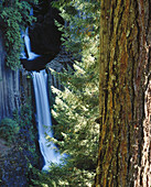 Toketee Falls. North Umpqua River. Umpqua National Forest. Douglas County. Oregon. USA