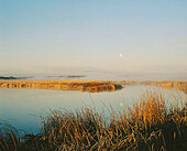 Moonset at sunrise. Wrights Pond. Malheur National Wildlife Refuge. Eastern Oregon. USA