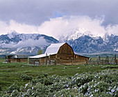 Historic Mormon barn and the Tetons after late spring snowfall. Grand Teton National Park. Teton County, Wyoming. USA.
