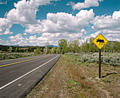 Road with moose crossing sign, Grand Teton National Park. Teton County, Wyoming. USA.