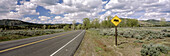 Road with moose crossing sign along highway, Grand Teton National Park. Teton County, Wyoming, USA