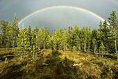 Rainbow over Fulufjället National Park. Sweden