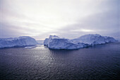 Iceberg. Weddell sea. Antarctica