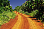 Country road. Misiones province. Argentina