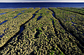 Golfo San Jorge, near El Fracaso. Valdés Peninsula. Chubut province. Argentina