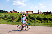 Cyclist, Vineyard, Castle, Soave, Veneto, Italy