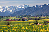 View towards Froschhausen and Murnau, Zugspitze in the background Upper Bavaria, Bavaria, Germany